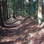 稲積神社参道の土塁