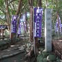 篠島城 城址風景