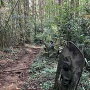 石仏に見守られている登城路