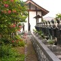 洞玄寺さま境内の風景