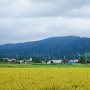 城址からの猿倉城遠景