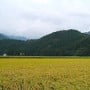 茶臼山城 遠景（北東より）