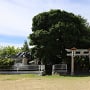 祭りの提灯が飾られた錦水神社