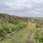 チャシ跡へ登る階段