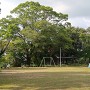 井田城 城址風景（城山公園）