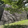 二の丸から見た本丸西面石垣