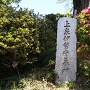 西林寺　石碑