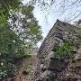 隆景軍の気分を