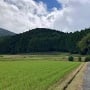 城山遠景（北から）