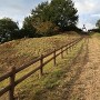 本陣山城 城址を見上げて