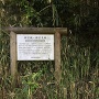 新宮支城