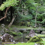 苔むした庭園