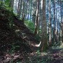 阿木城 北東尾根の堀切