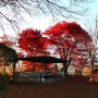 久米ヶ城 夕暮れの櫓風展望台と紅葉