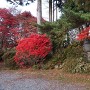 久米ヶ城 駐車場から見た本丸