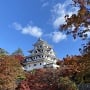 紅葉の時期の郡上八幡城