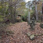 城址(C郭群)