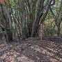 発喜山(A郭群)
