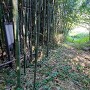 内側から見た虎口
