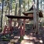 中腹にある天神社本殿