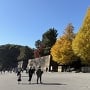 中の門と紅葉