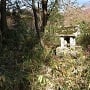 戸田大和神社の祠