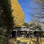 平塚神社境内と社殿