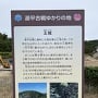 案内板「源平合戦ゆかりの地 王城」