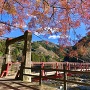 飯盛山城城山に架かる香嵐橋