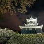 夜の浜松城と桜