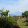 西木戸跡付近の畝掘と富士山