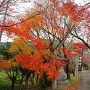 大宮八幡神社二の鳥居