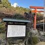 天狗の神社