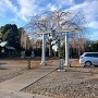 城址(妙見八幡神社)