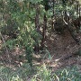 大庭城　堀跡と土塁