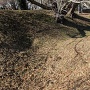 小堀跡