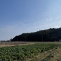北西側からの遠景