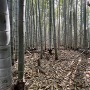 主郭