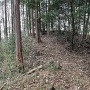 主郭を見上げて