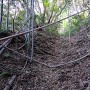 下から見た竪堀