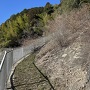 登城口