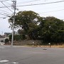 飯森城跡（南より）