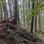 大手門跡