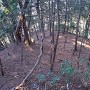 2郭北側の腰郭