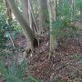 土塁