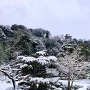 有楽苑からの遠景