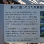 美濃金山城 里帰りした城門説明板