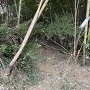 登城道