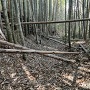 堀跡の登城道
