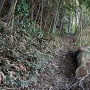 搦手の堀切